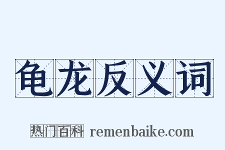 龟龙反义词是什么意思的图片